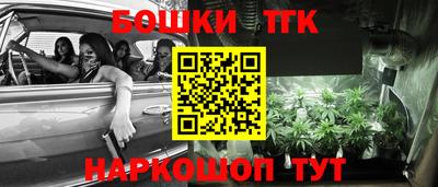 индика Мариинск