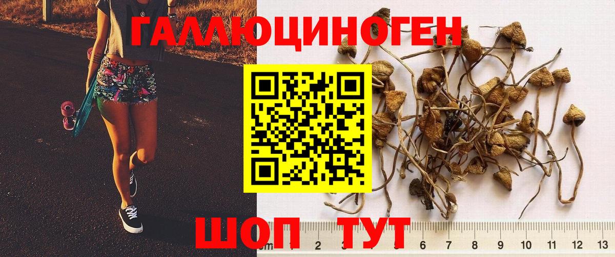 Галлюциногенные грибы прущие грибы Гулькевичи